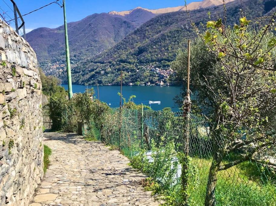 Romantic Home Stone With Amazing View Lake Of Como And Oleandra Laglio Exteriör bild
